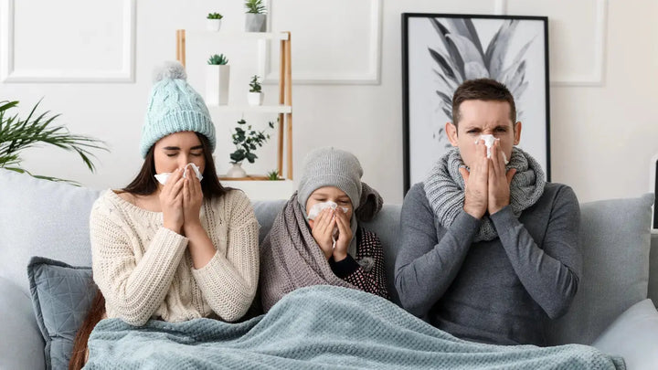 Har-influensasesongen-truffet-deg-hardt-i-år-Trippelboost-for-immunforsvaret-med-C-vitamin-Sink-og-Chaga Aarja Health Norge