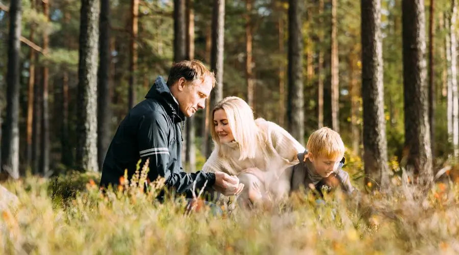 5 grunner til hvorfor bær er supermat for helsen din Aarja Health Norge