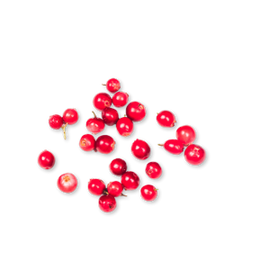 Lingonberry