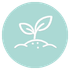 Aarja Seed