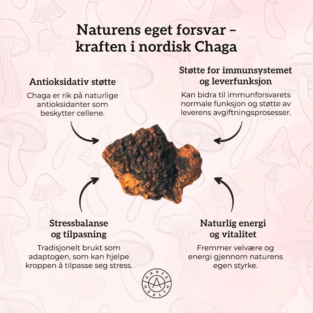 VITAMIN C 500, SINK & CHAGA Aarja Health