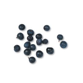 Nordic blueberries