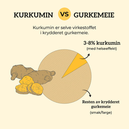 KURKUMIN, INGEFÆR & B12 Aarja Health
