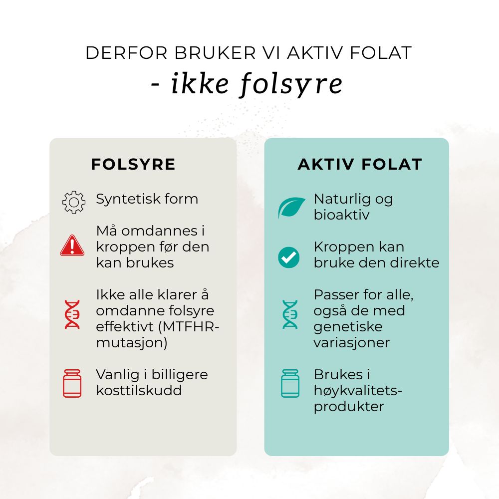 NATURLIG B12, FOLAT & TYTTEBÆR Aarja Health