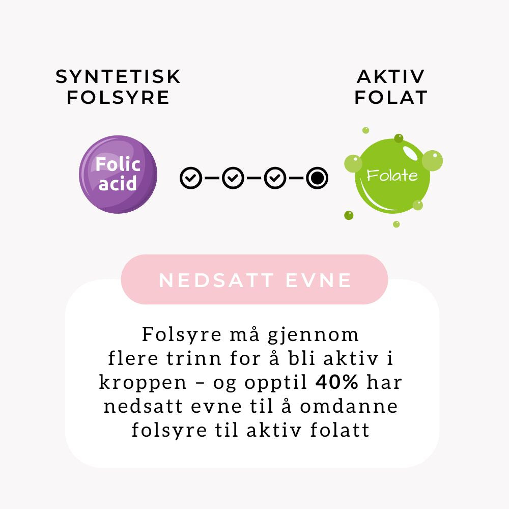 NATURLIG B12, FOLAT & TYTTEBÆR Aarja Health